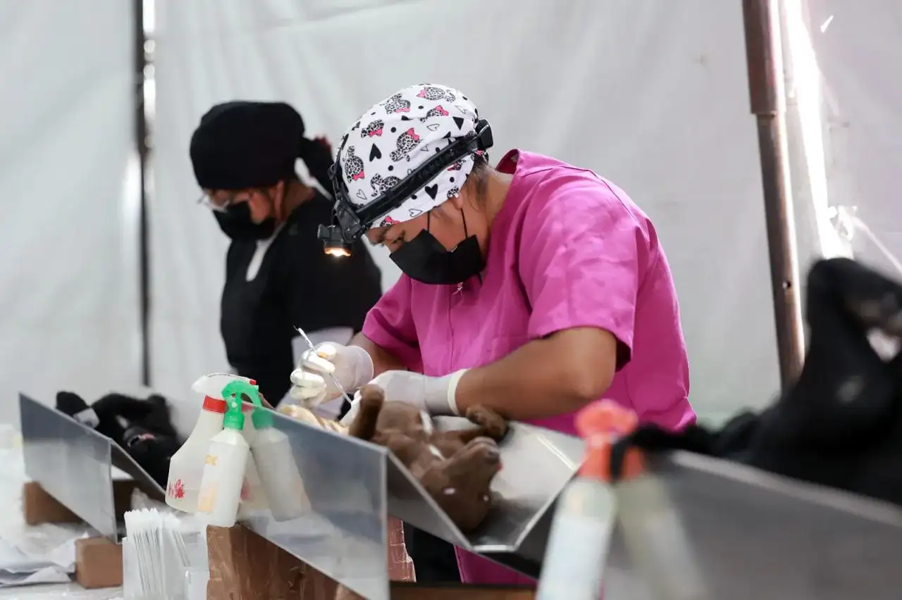 Personas con sus mascotas durante una jornada de esterilización en Chimalhuacán