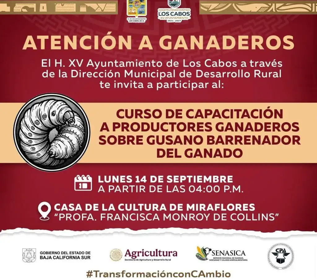 Productores ganaderos durante una capacitación sobre sanidad animal