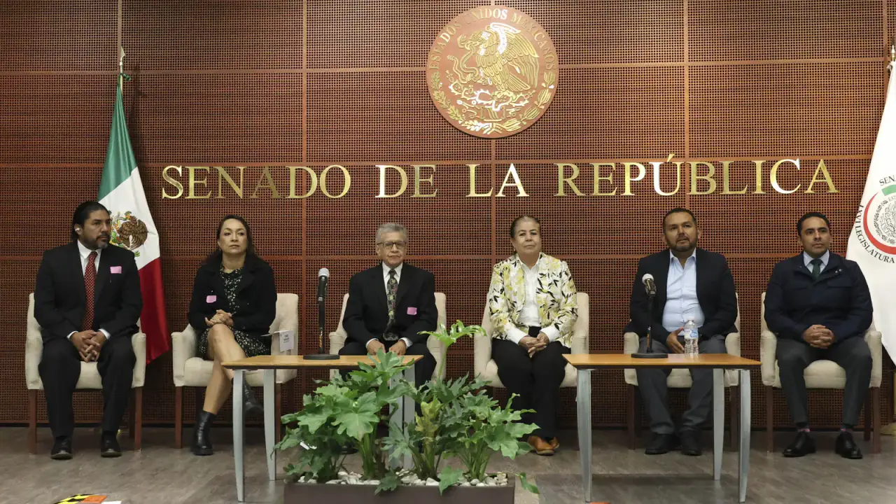 Senadora durante una sesión legislativa en el Senado de la República