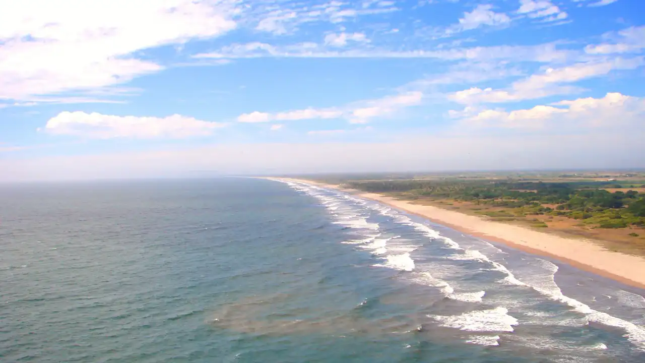 Playa de arena dorada en Sinaloa con turistas y palmeras al fondo