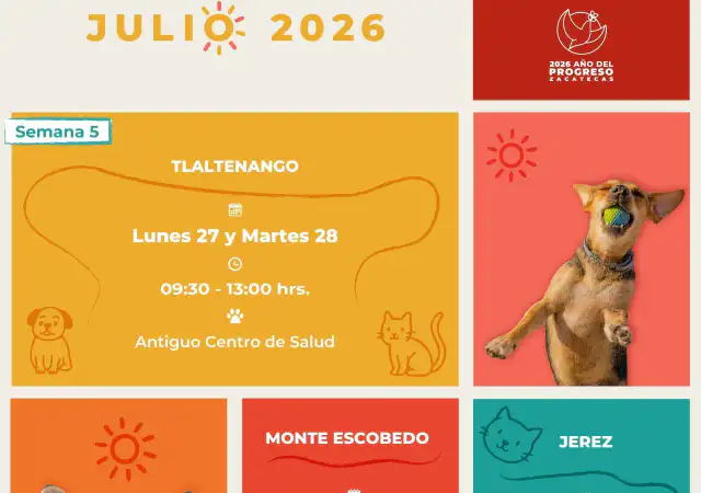 Brigada de esterilización canina y felina del Gobierno de Zacatecas