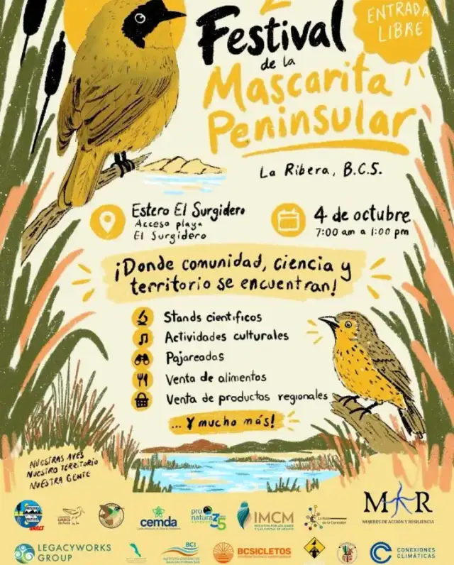 Aves en un humedal costero durante una jornada de avistamiento