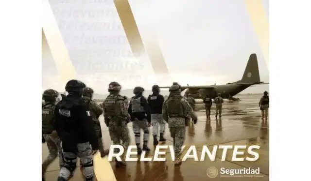 Elementos de fuerzas federales durante un operativo de seguridad en una carretera