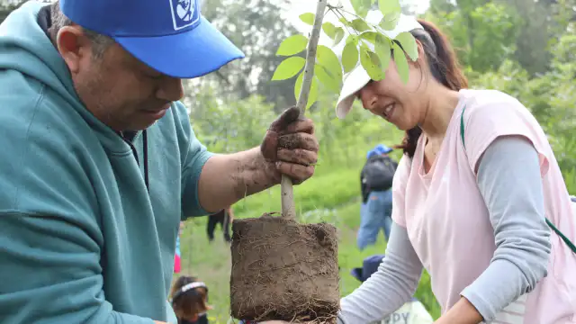 Voluntarios plantando árboles en el parque La Hoja de Naucalpan