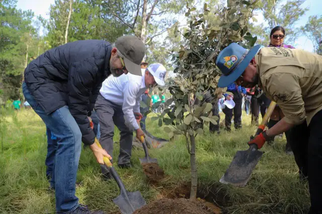 Personas plantando árboles en un parque ecológico