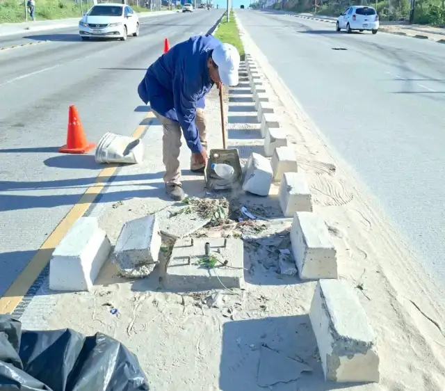 Personal de limpieza trabajando en una avenida de Cabo San Lucas