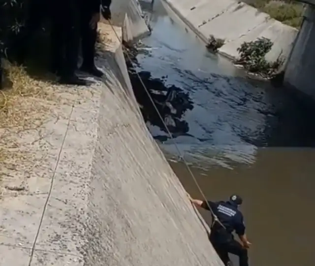 Elementos de seguridad durante el rescate de un perro en un canal de aguas negras