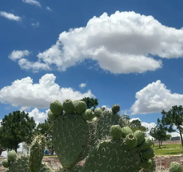 Vista de nubes de lluvia sobre paisaje zacatecano