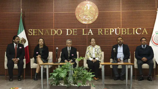 Senadora durante una sesión legislativa en el Senado de la República