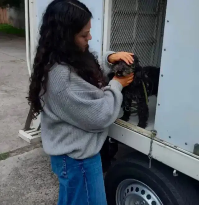 Perrito maltés extraviado reunido con su dueña en Cuautitlán Izcalli