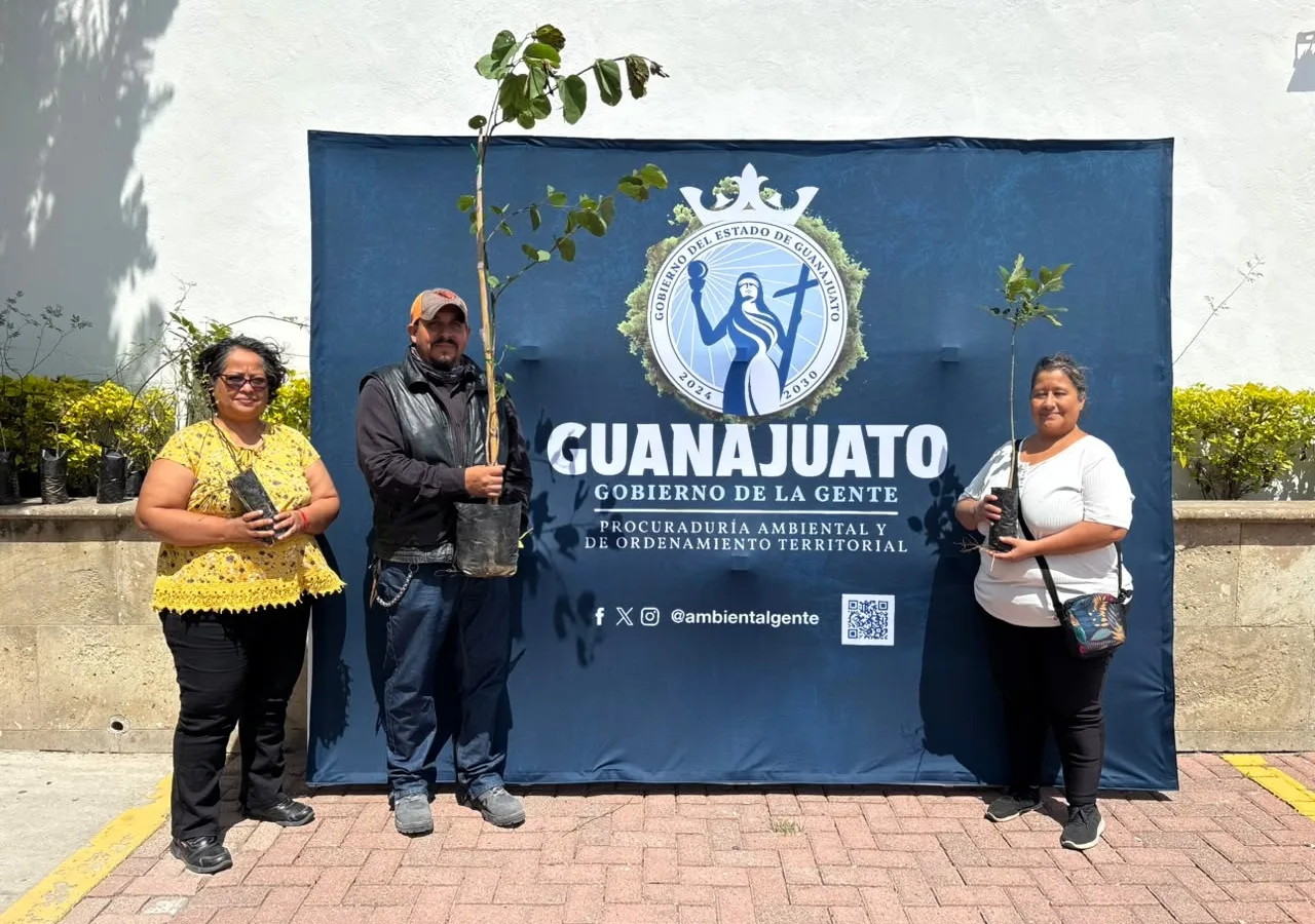 Adopta un árbol nativo: PAOT Guanajuato inicia campaña de reforestación urbana