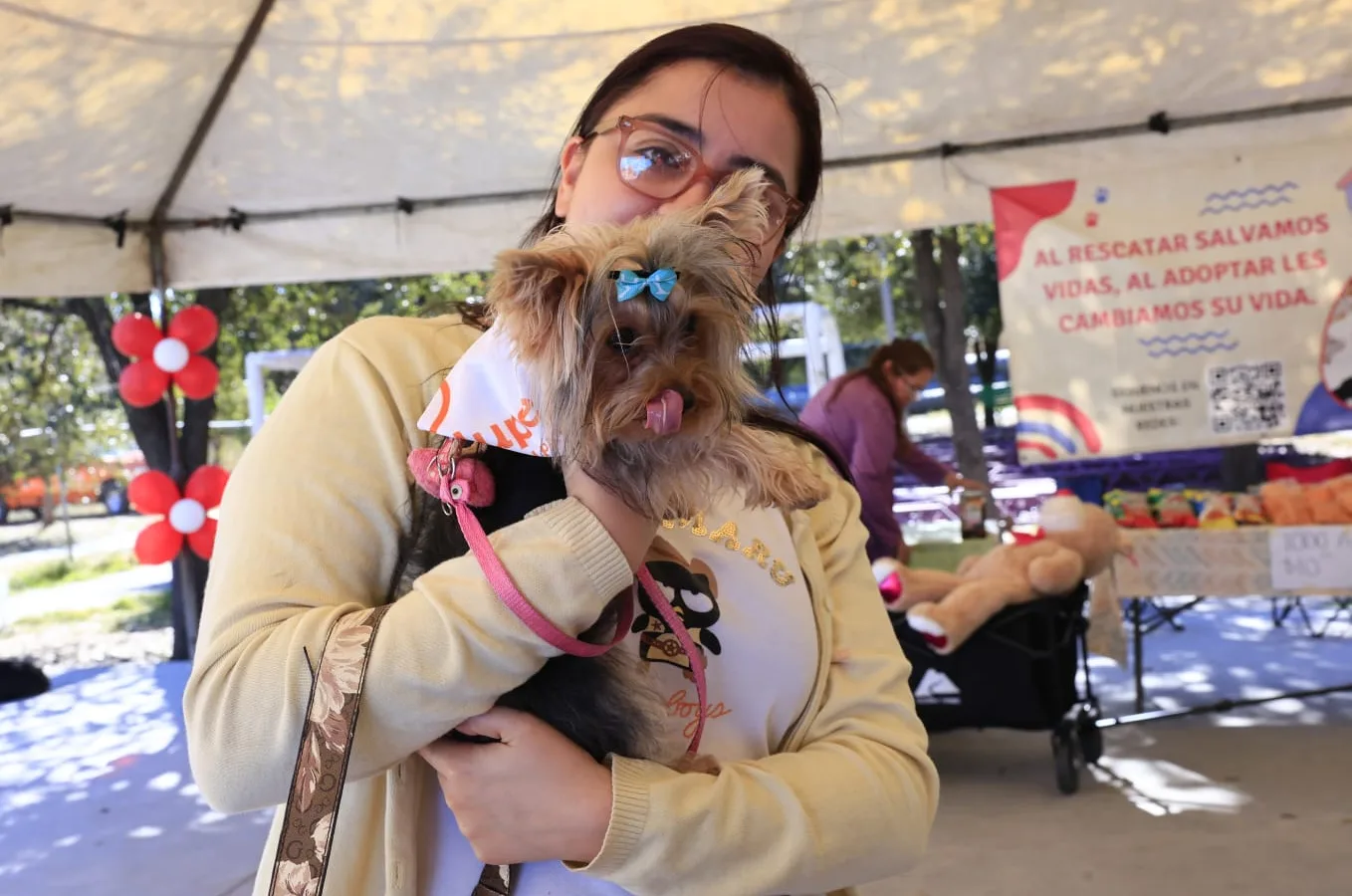 Alerta en Guadalupe: recomiendan cuidados para mascotas ante ola de calor