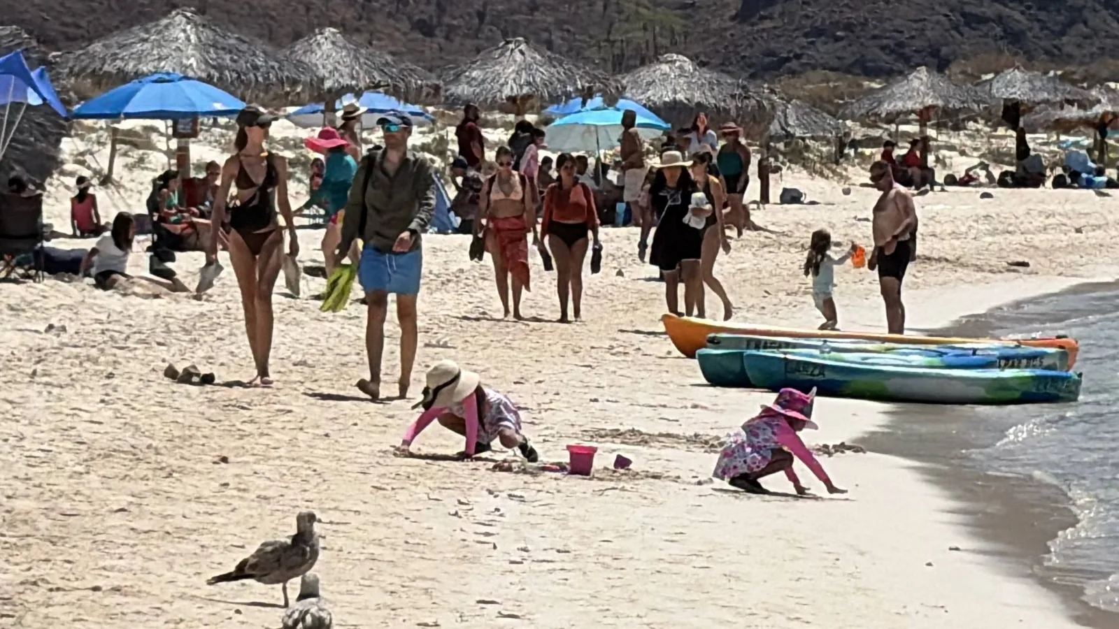 Baja California Sur espera 390 mil turistas y derrama de 2 mil 69 mdp en julio