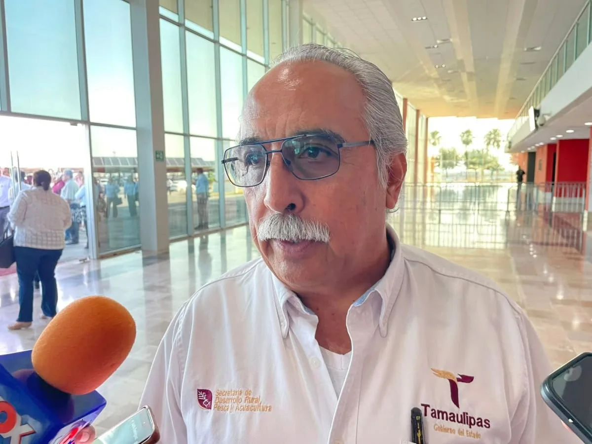 Bajan a 100 los casos activos de gusano barrenador en Tamaulipas; esperan más moscas estériles