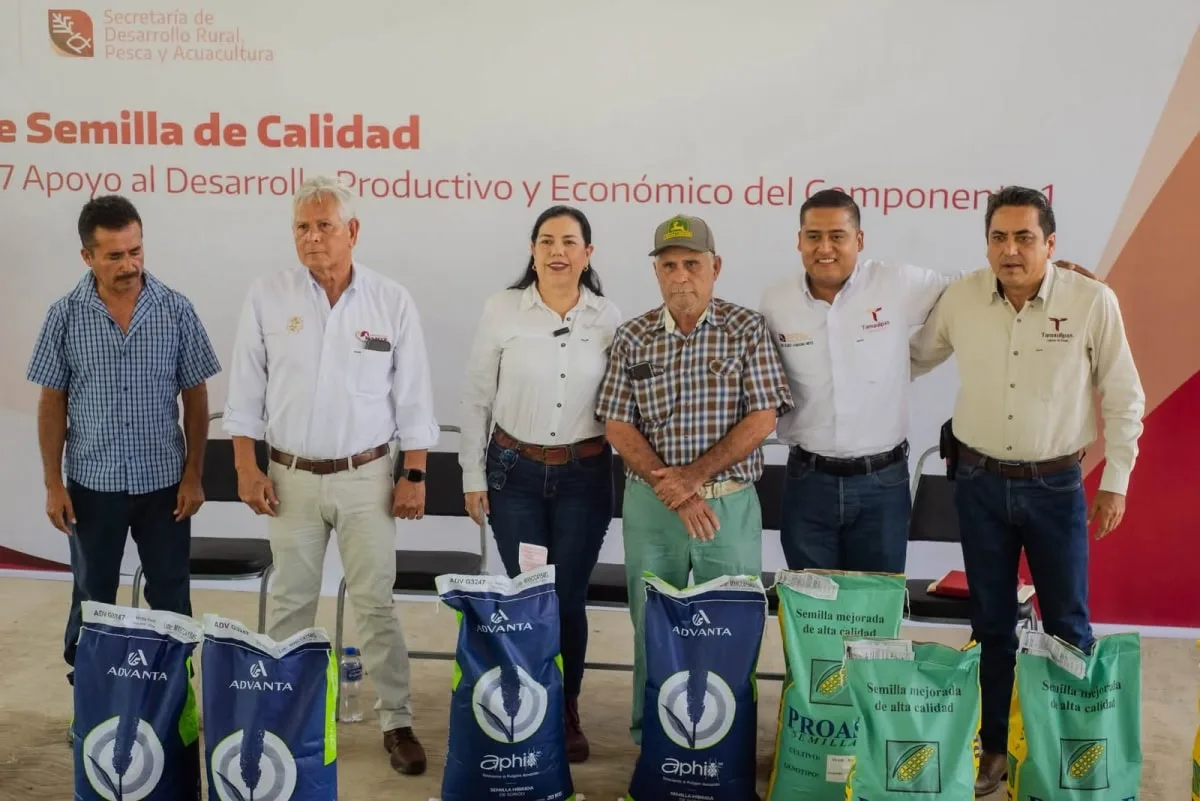 Entregan semilla certificada a 442 productores en Tamaulipas; cubrirán 3,600 hectáreas