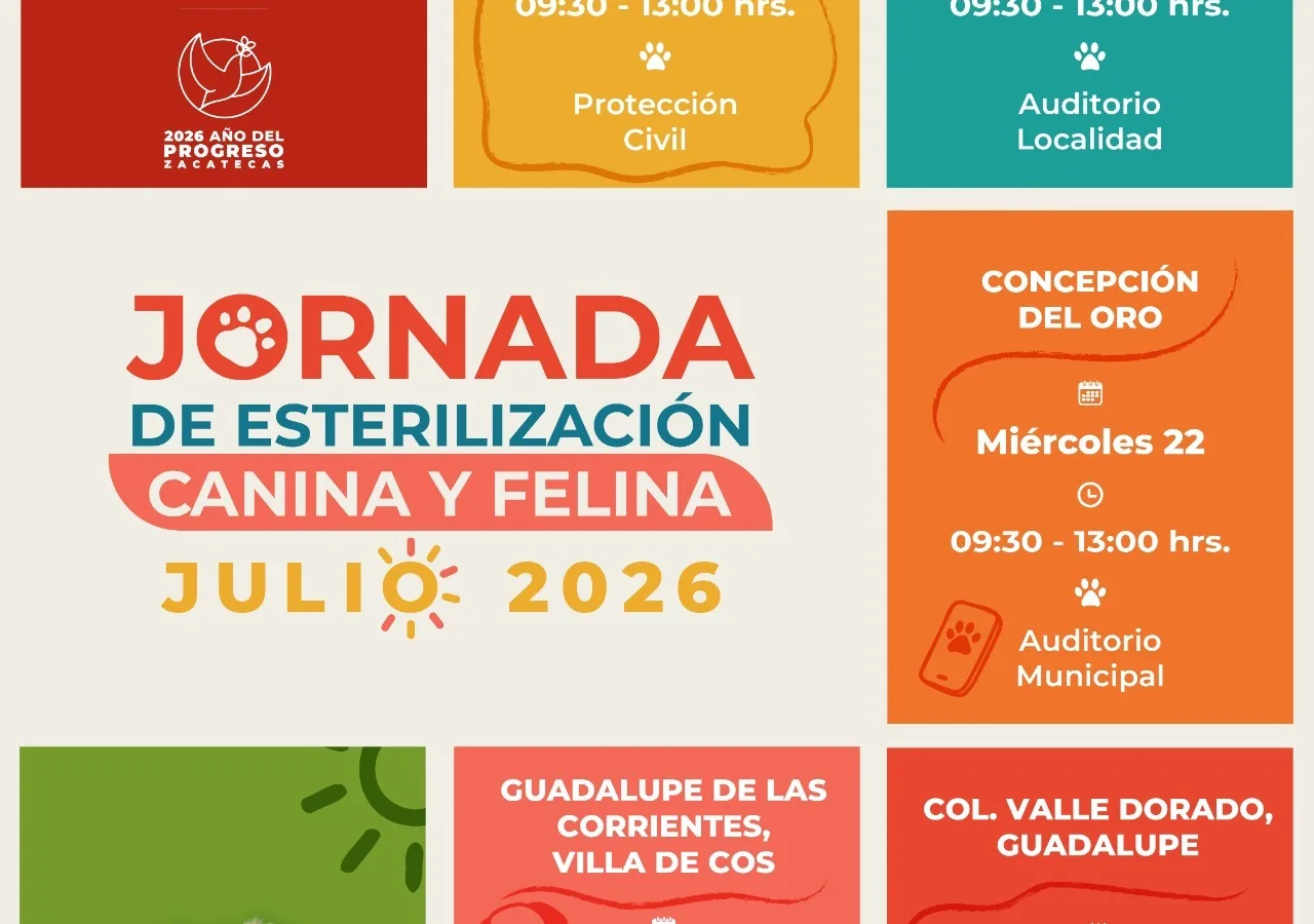 Esterilización gratuita de mascotas llegará a cinco municipios de Zacatecas