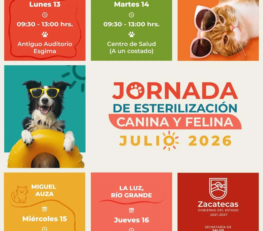 Esterilizaciones gratuitas para mascotas llegarán a cuatro municipios del norte de Zacatecas