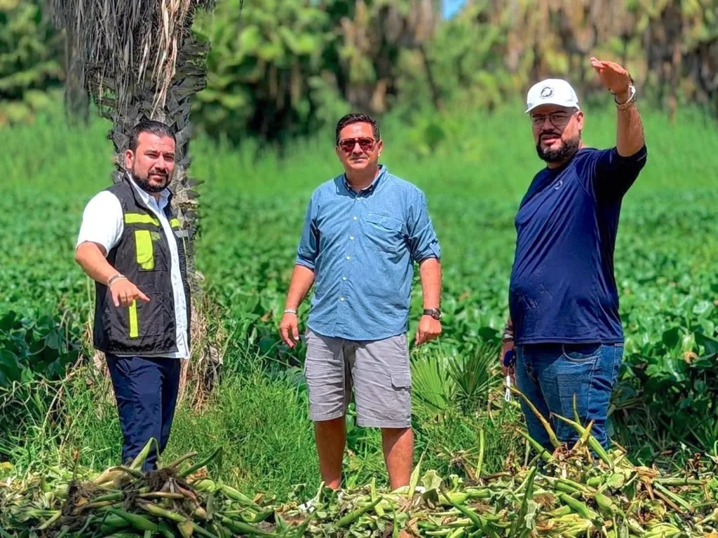Gobierno de Los Cabos supervisa labores de conservación en el Estero San José del Cabo