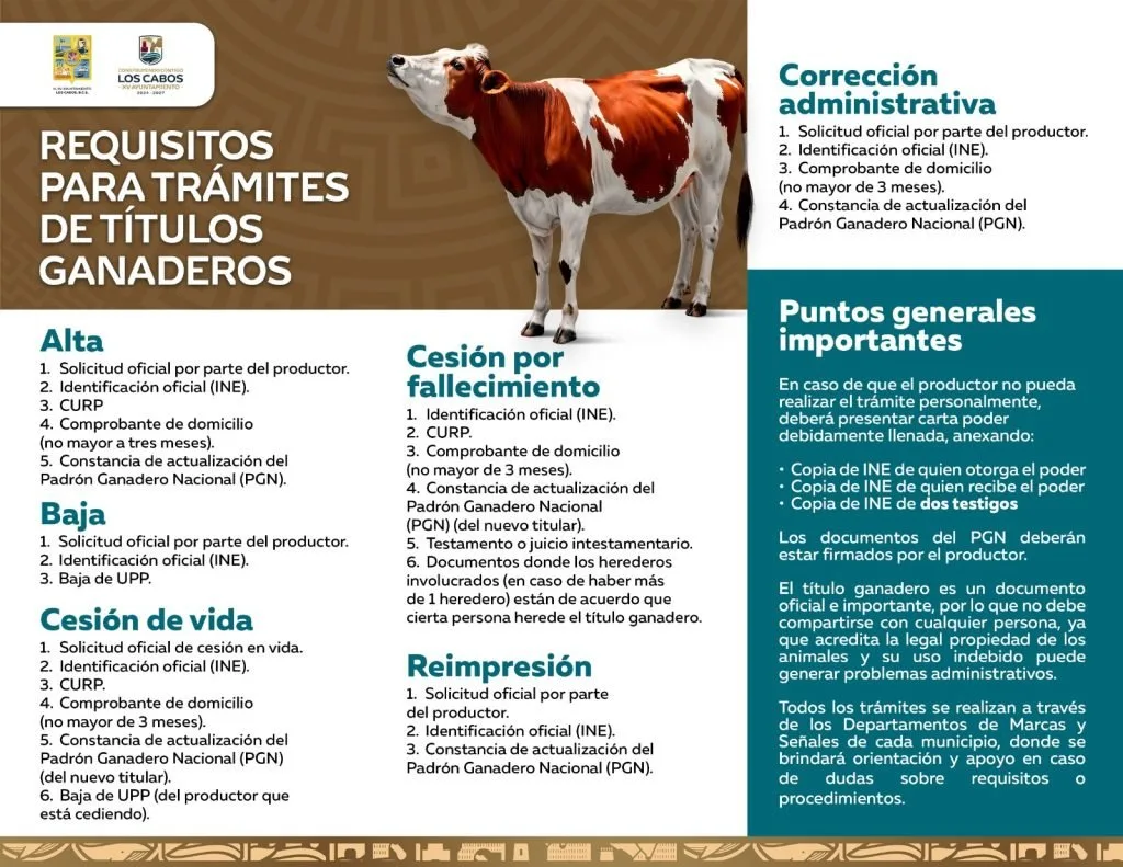 Los Cabos: requisitos para alta, baja y cesión de títulos ganaderos en 2026
