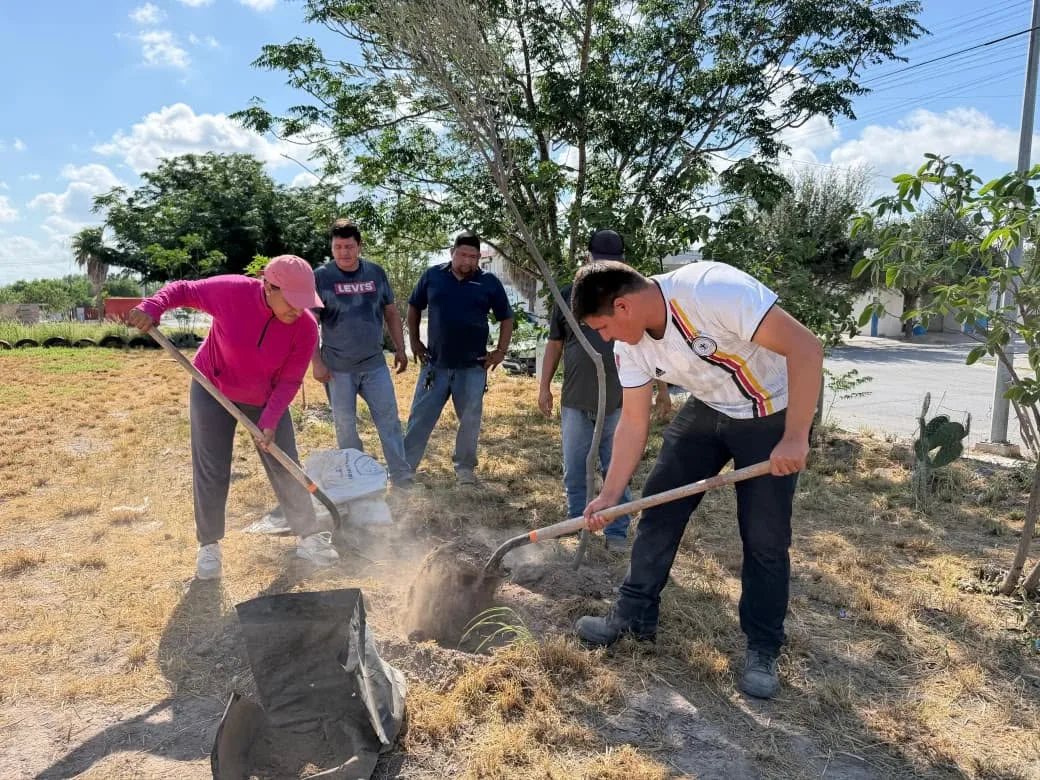 Plantan 12 árboles en colonia Ventura de Reynosa para mejorar áreas verdes