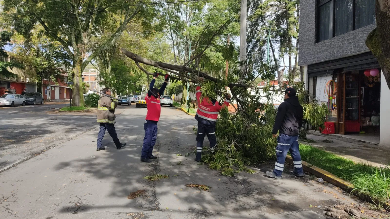Protección Civil de Toluca sofoca incendio y retira árboles caídos por lluvias