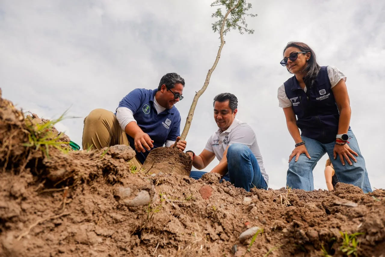 Querétaro planta 350 árboles nativos en Parque La Queretana por Día del Árbol