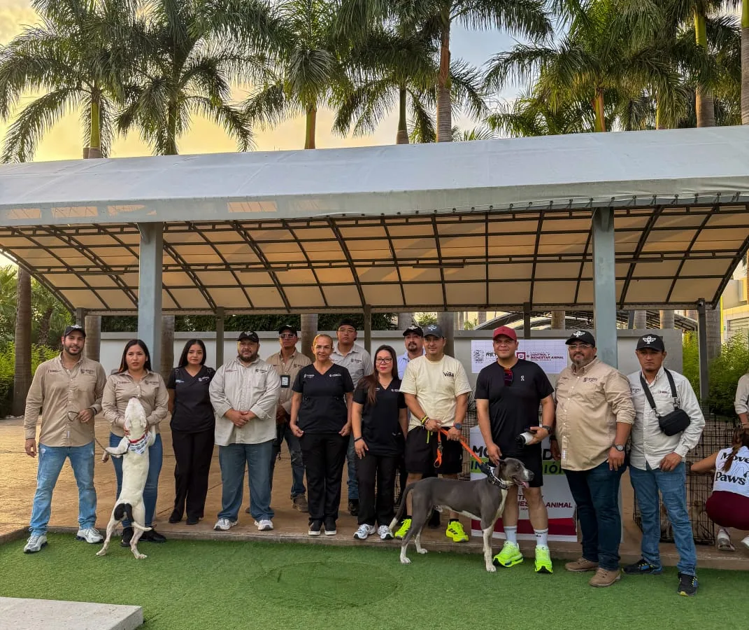 Realizan ejercicio con causa en Reynosa para esterilizar animales rescatados