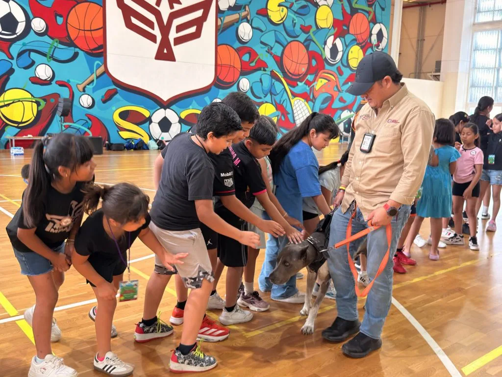 Reynosa impulsa cultura de bienestar animal con pláticas infantiles en el IMD