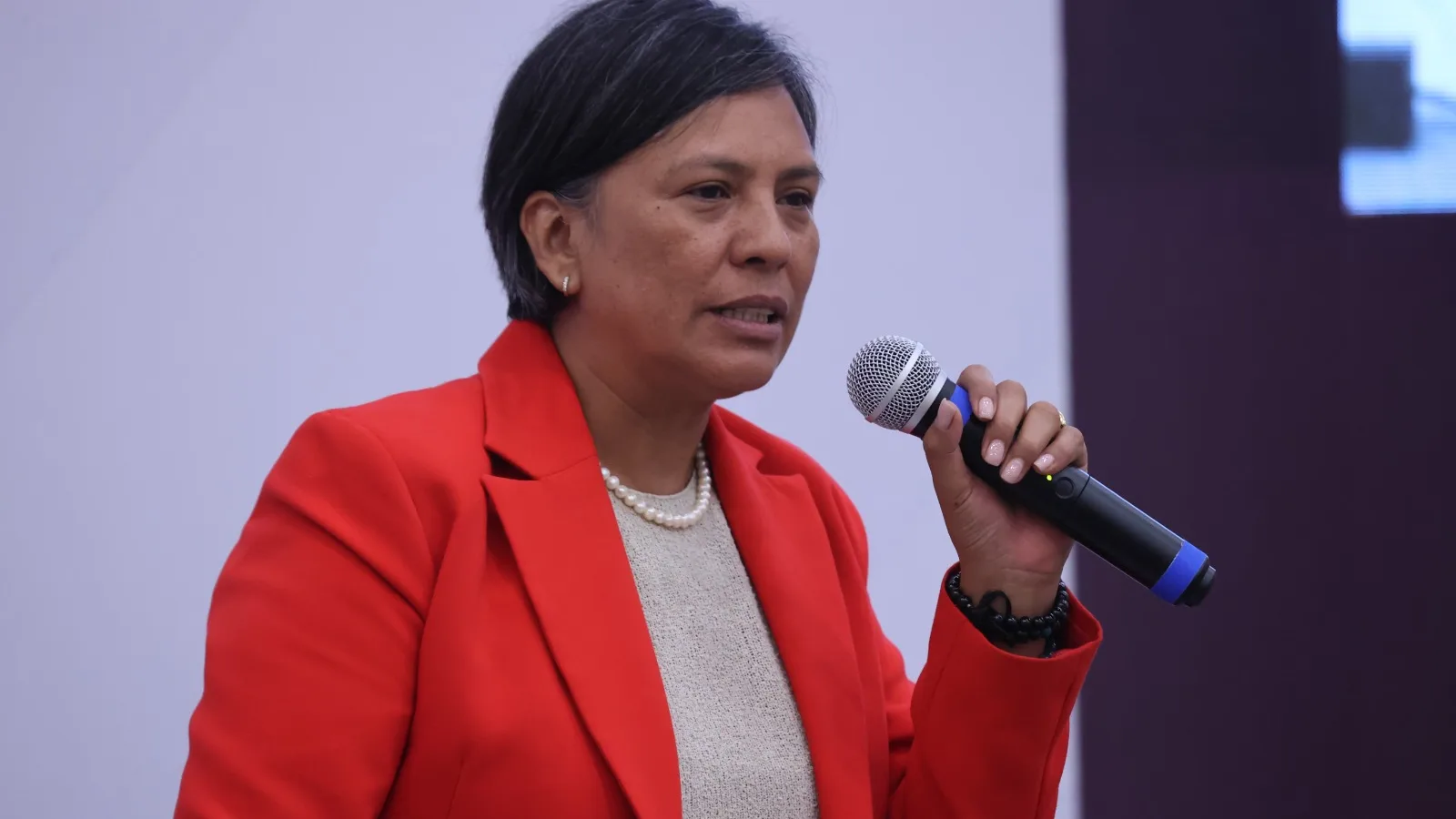 Solo cuatro organizaciones han cumplido la asamblea constitutiva para ser partido político: INE