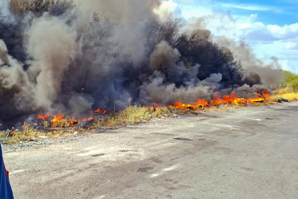 Tras incendios recurrentes, Protección Civil de Reynosa pide no tirar basura ni colillas
