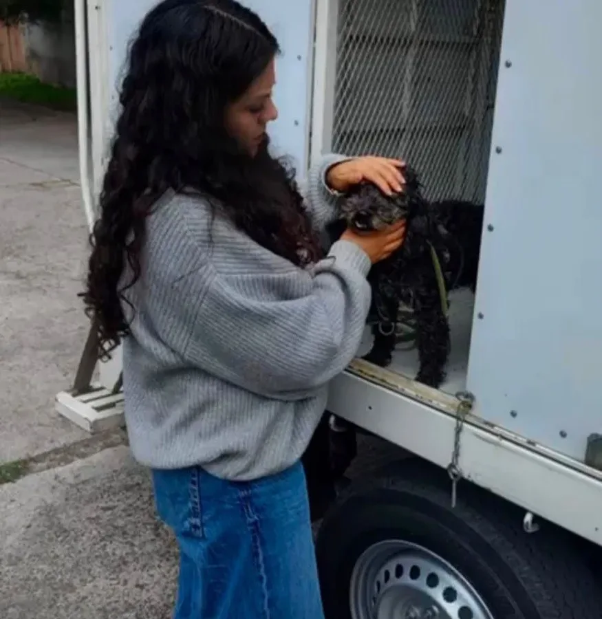Vecinos y gobierno logran reencontrar a perrito extraviado con su dueña en Cuautitlán Izcalli