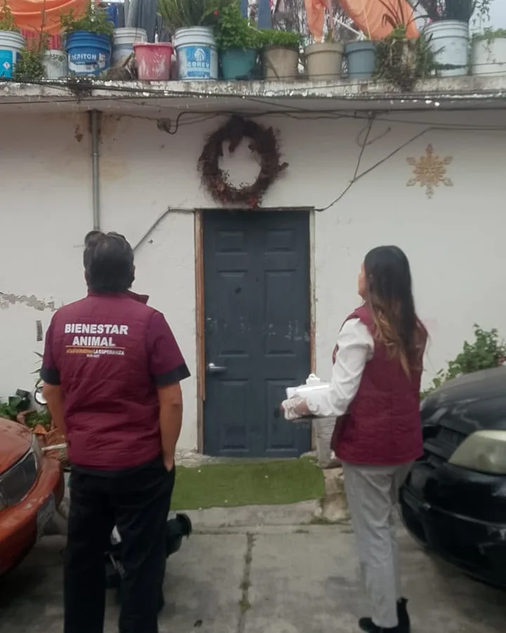 Zuky, la husky rescatada en Naucalpan: azotea, desnutrición y abandono